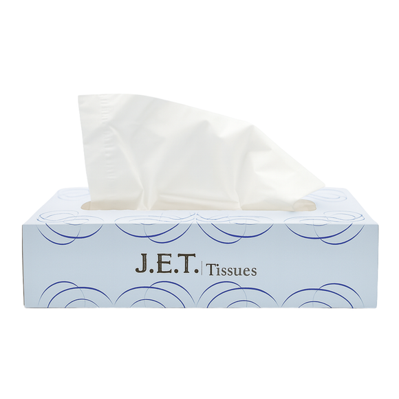 Mouchoirs Member's Mark 2 Plis - Lot De 12 Boîtes De 160 Mouchoirs - Neuf